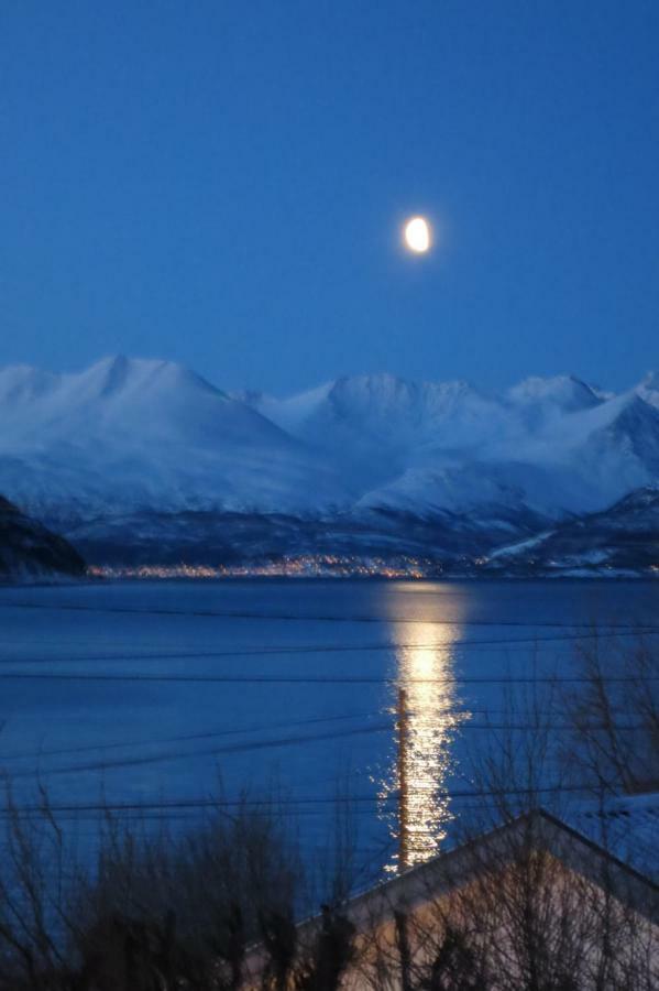 Olderdalen Ski Camp Экстерьер фото