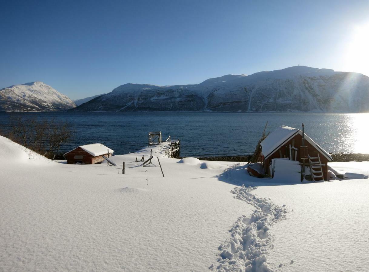 Olderdalen Ski Camp Экстерьер фото
